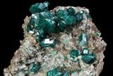 Large, Gemmy Dioptase Crystals On Calcite - Kazakhstan #78851-4